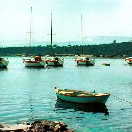 Argo Kórfos